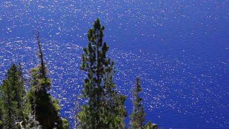 glistening blue surface of the lake at crate lake national park in oregon