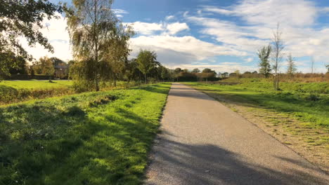 walk along the alley of the park on a sunny day