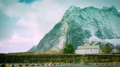 secado de bacalao en estantes de madera en las islas lofoten, noruega