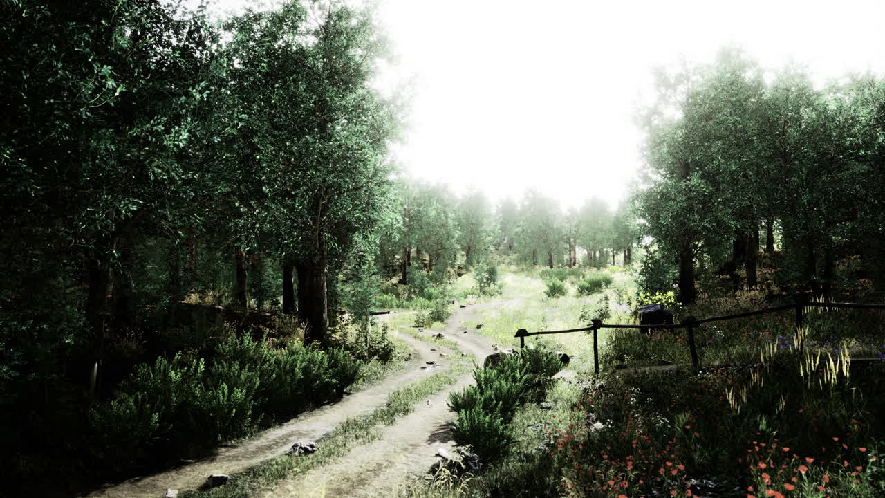 Il sereno sentiero della natura invita all'esplorazione e all'avventura nella foresta