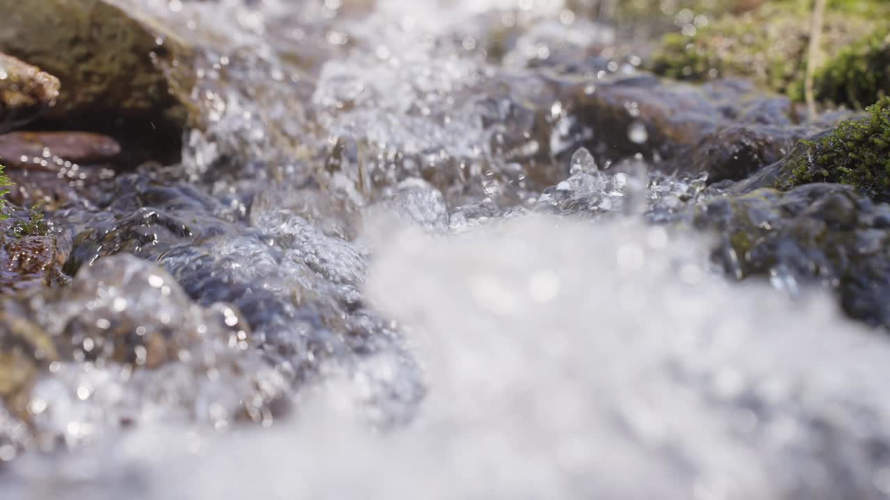 Clear, rushing water flows over mossy stones in a forest stream. Sunlight glints on moving droplets, creating sparkling highlights. The scene is serene, peaceful, and full of natural energy
