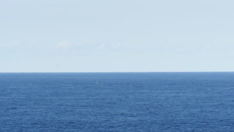 Calm-Blue-Ocean-With-Distant-Swimming-Whale-Blow-During-Summer