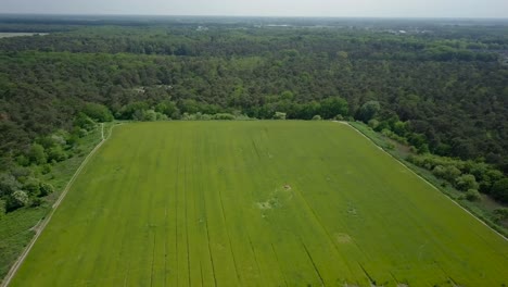 Vista-Aérea-De-Drones-De-Los-Campos-De-Hierba-Verde-Cerca-Del-Bosque-En-Los-Países-Bajos