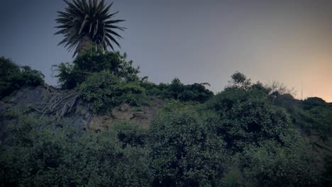 Steiler-Hang-Eines-Hügels,-Bedeckt-Mit-üppiger-Grüner-Vegetation,-Mit-Einsamer-Palme-Auf-Dem-Gipfel,-Während-Das-Sonnenlicht-Der-Morgendämmerung-Am-Horizont-Bricht