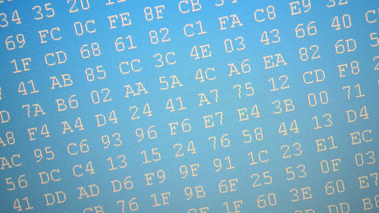 Computer screen. Code on a blue background, binary. Hexadecimal program code on screen. Animated background of moving binary code numbers