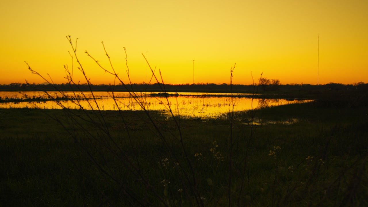 A vertical panning shot (tilt up) revealing a vast, flooded marshland during a vibrant golden hour.