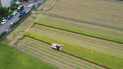 aerial drone footage cultivated rice paddy field, farmer harvesting the crops with multifunctional paddy harvesting machine rice harvester tractor at doliu yunlin taiwan