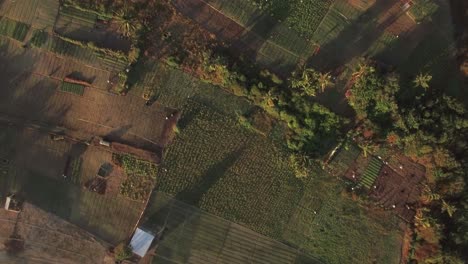 Farmlands-and-coast-of-Mauritius-aerial-view