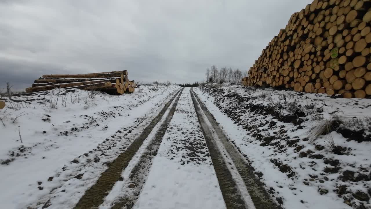 많은 거대한 나무 더미 사이에 있는 스루잉기아의 겨울 길을 달리는 pov
