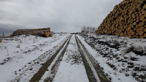 POV-of-running-on-a-wintery-trail-in-Thruingia-between-of-many-huge-wooden-piles