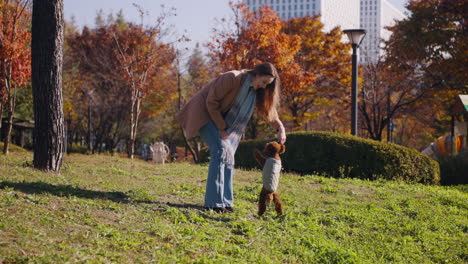 cheerful young woman playing with dog in autumn city park, small brown toy poodle jumps up to catch a wooden stick from the owner's hand, trees with vivid orange and yellow foliage in background