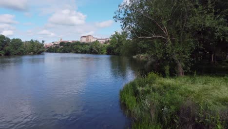 the river bank and the forest from drone view