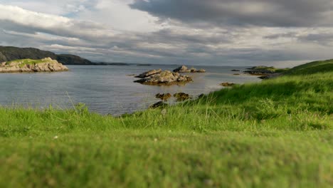 A-low-camera-angle-if-wind-blowing-waves-across-the-surface-of-the-ocean-as-lush-green-blades-of-grass-blow-in-the-breeze-and-dark,-moody-clouds-pass-overhead-at-sunset