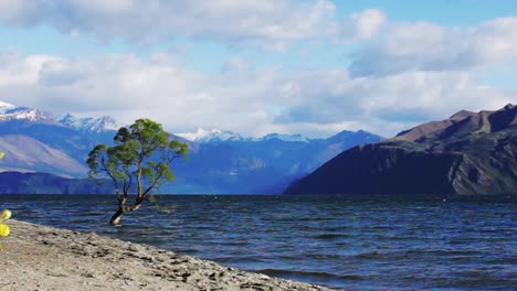 una vista épica del árbol de wanaka, las montañas, las flores de lupino en un lago ventoso wanaka con olas, nueva zelanda - toma de dolly