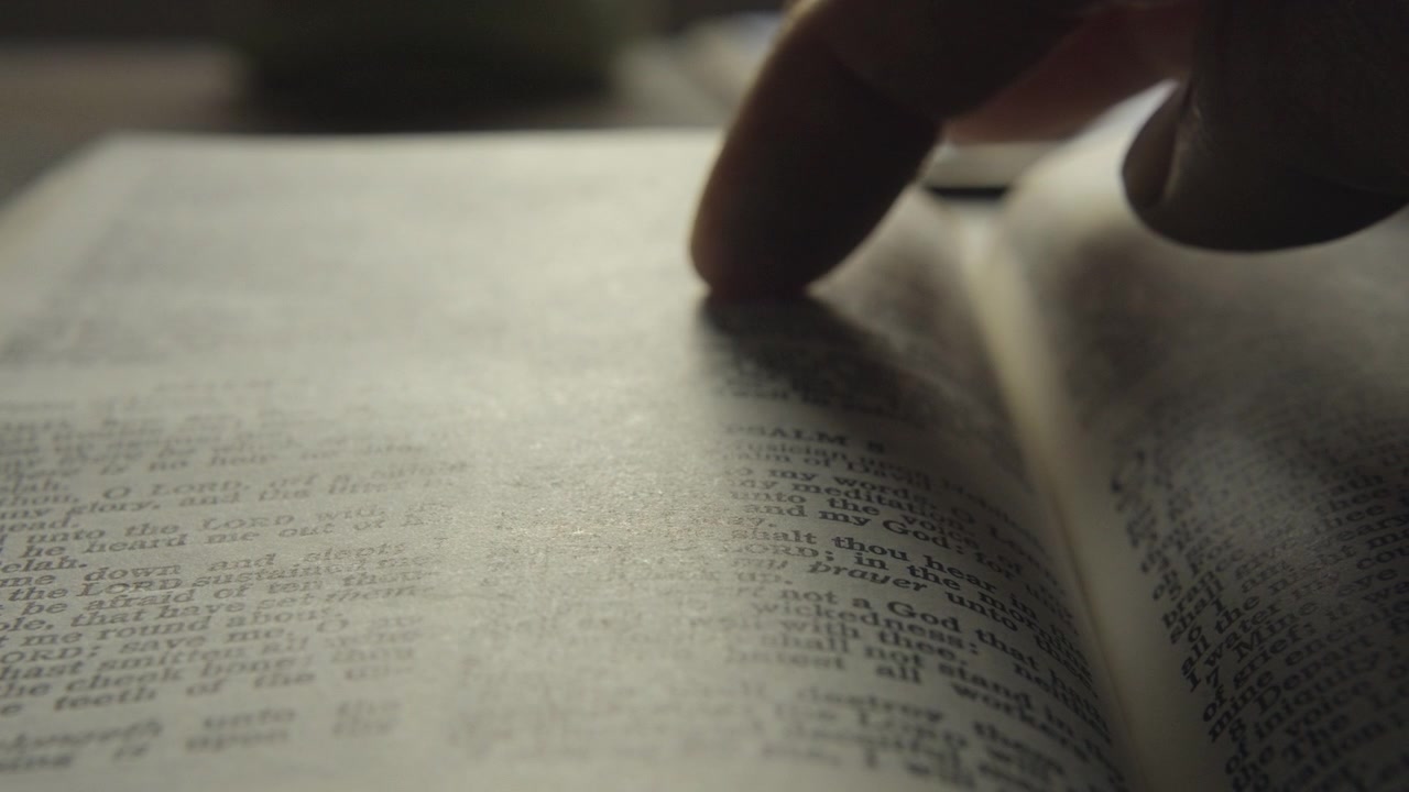 Bible reading Psamls morning light