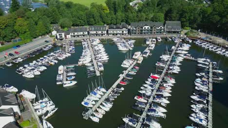 forward moving aerial drone view over boat moorings and yachts on lake windermere at bowness marina with colourful trees on sunny summer morning with visible algae in the lake