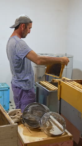 beekeeper inspecting honeycomb frames