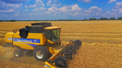 combine harvester agricultural machine ride in the field of golden ripe wheat