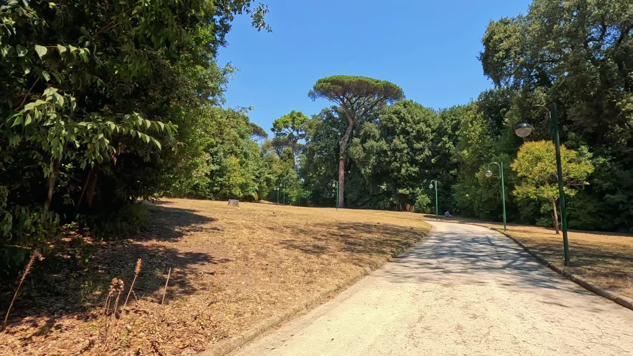 나무로 둘러싸인 공원을 가로질러 조용한 산책