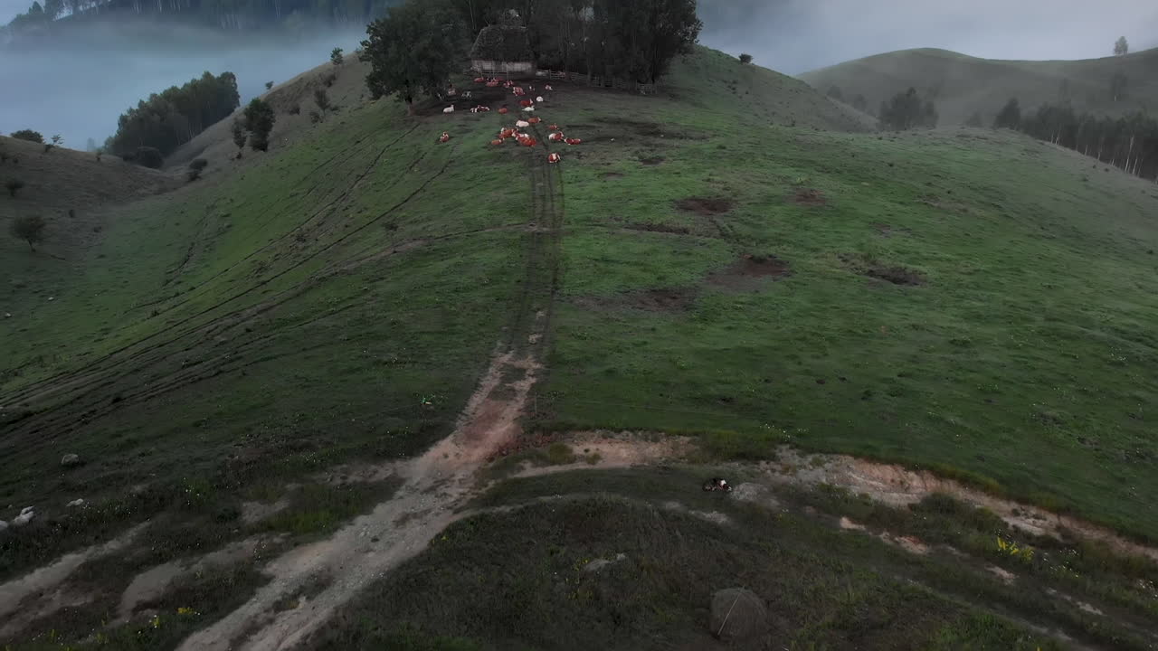 dumesti transilvania, rumania parque nacional apuseni dramática revelación aérea