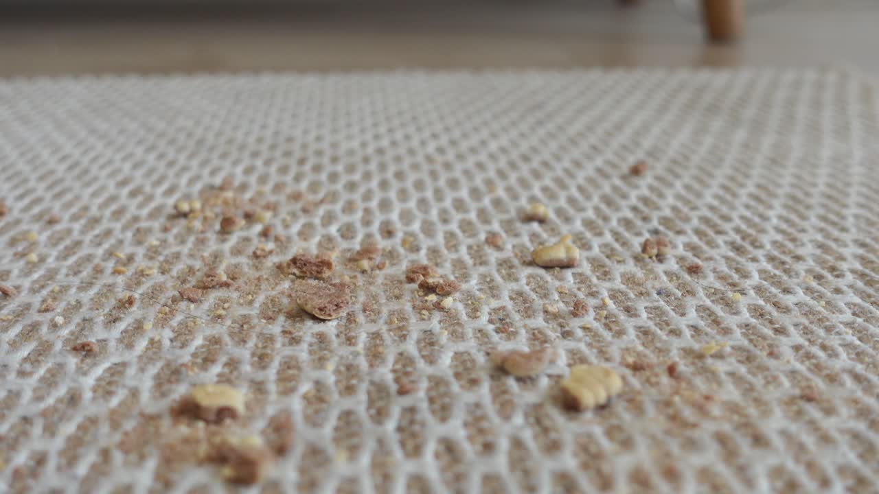 카에 있는 어리