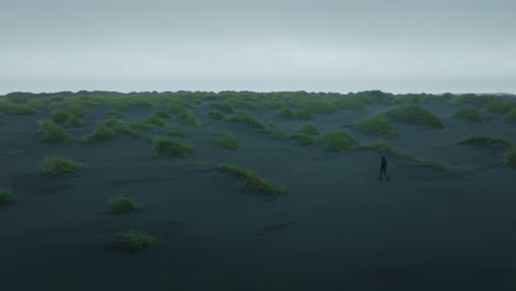 wide aerial shot of a man walking on stokksnes beach, black sand, cloudy and windy