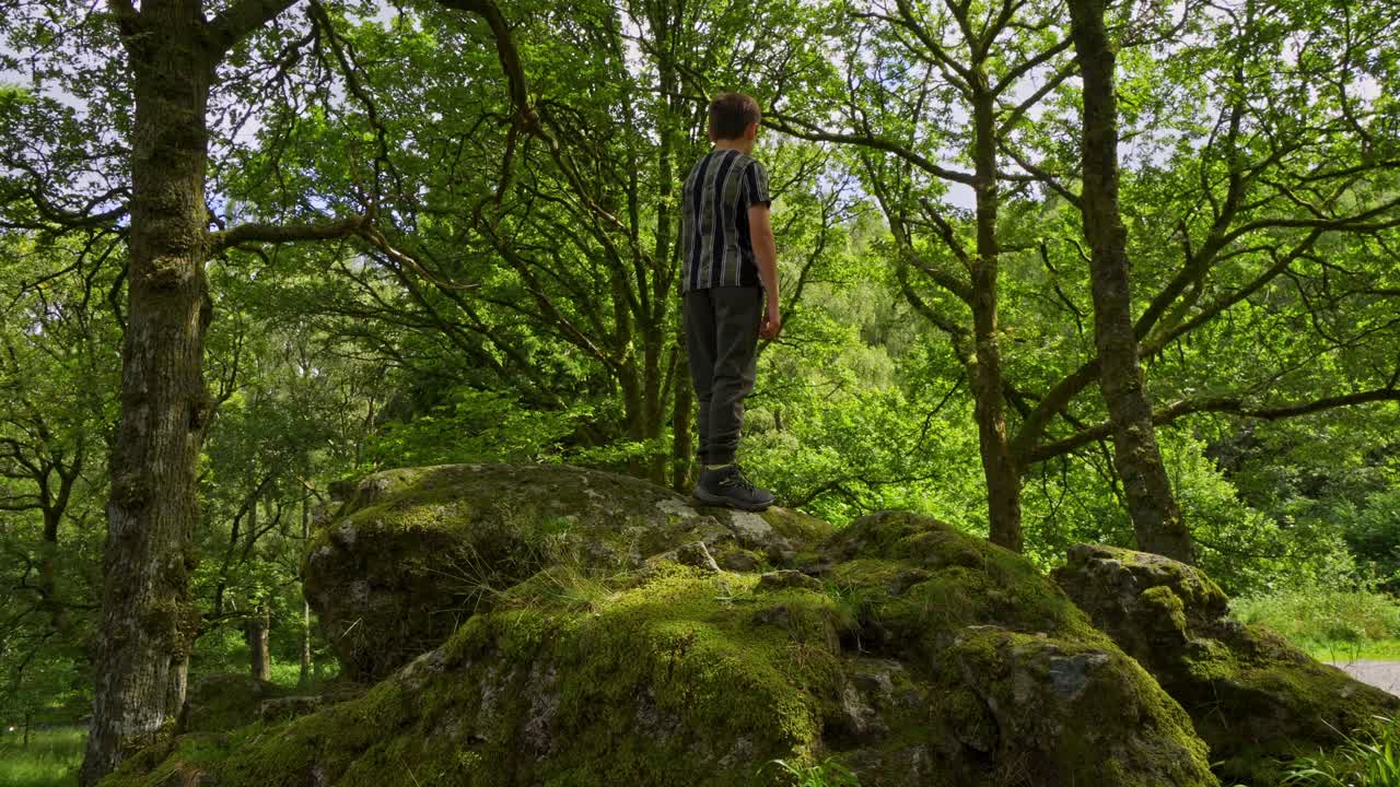 Young boy playing standing and looking down from large rocky outcrop near a woodland path surrounded by rocks and trees.