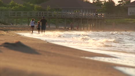 people in the distance walk along the bouctouche beach at dusk as a seagull flies directly towards the camera