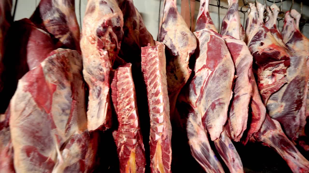 Raw Beef Cuts Hanging in a Refrigerated Warehouse