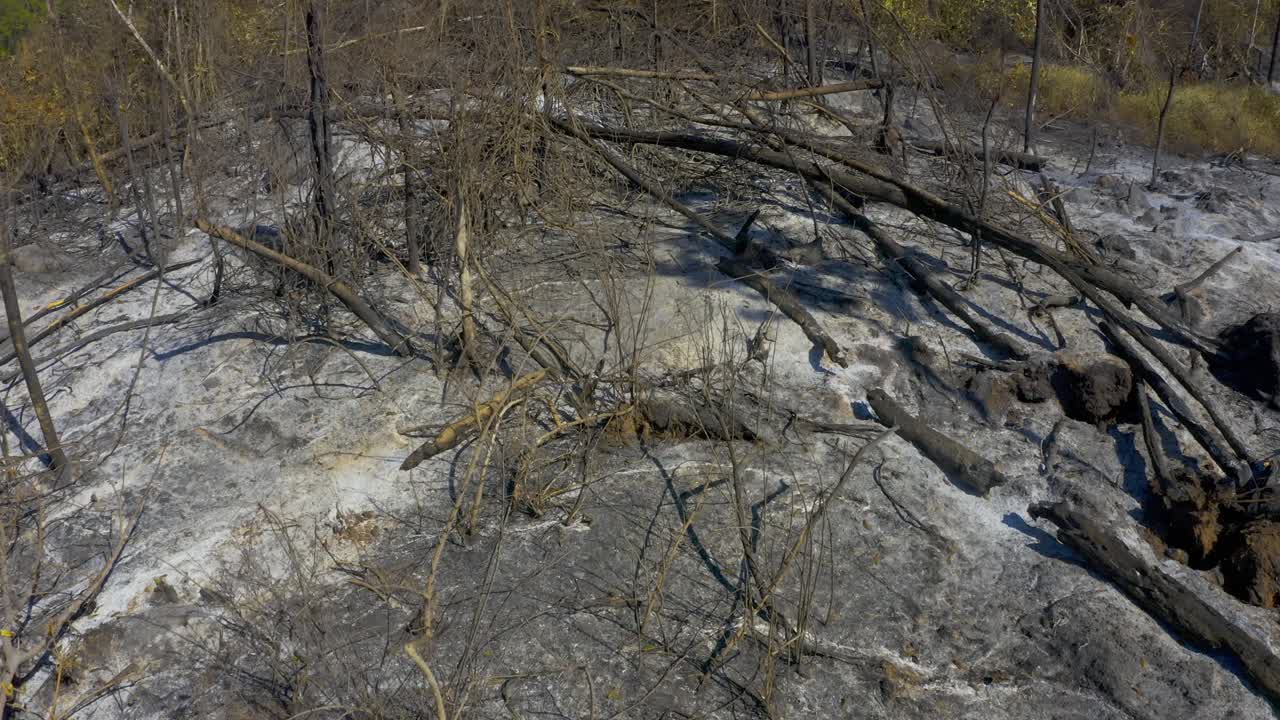 los incendios forestales dejan cenizas y deforestación en la selva amazónica de brasil: paso aéreo