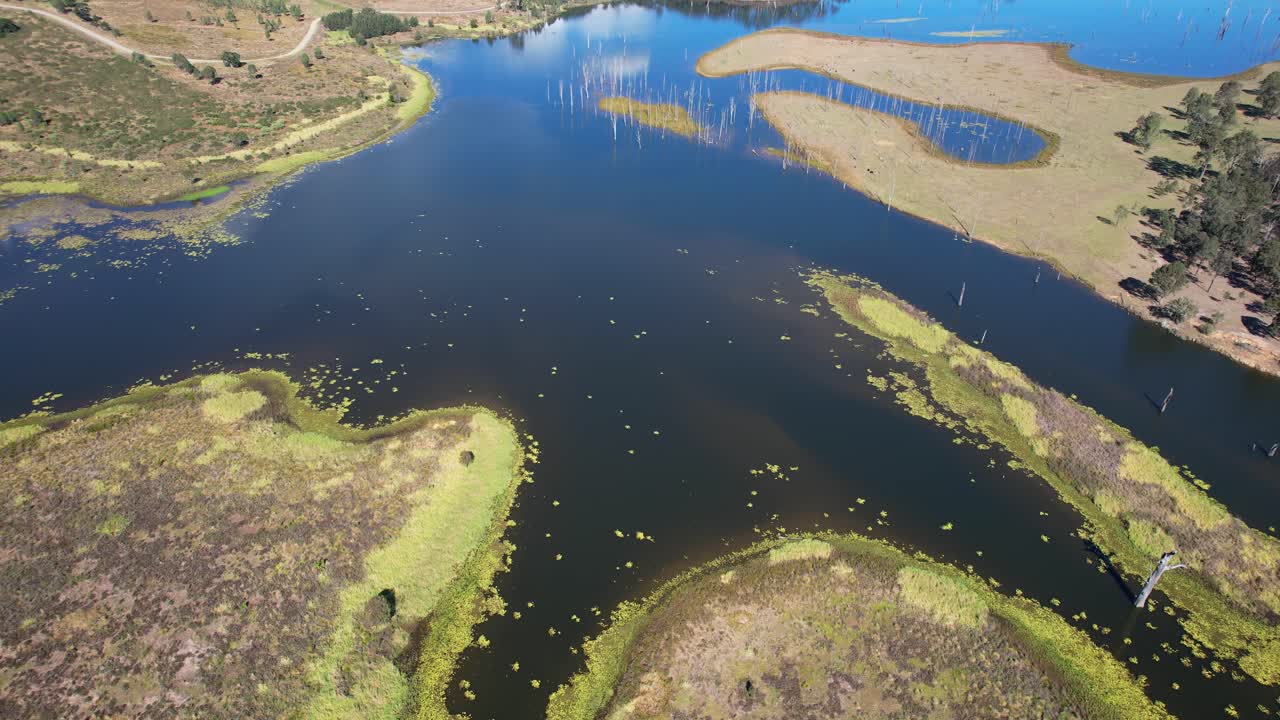 Aerial View of a Lake with Submerged Dead Trees and Wetlands