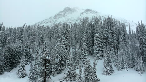 Tiefer-Pulverschnee,-Filmische-Luftaufnahme,-Skigebiet-Colorado-Loveland,-Eisenhower-Tunnel,-Coon-Hill,-Hinterland,-I70,-Schwerer-Winter,-Frühlingsschnee,-Kontinentale-Wasserscheide,-Rocky-Mountains,-Schneedecke,-Kiefern-Nach-Unten