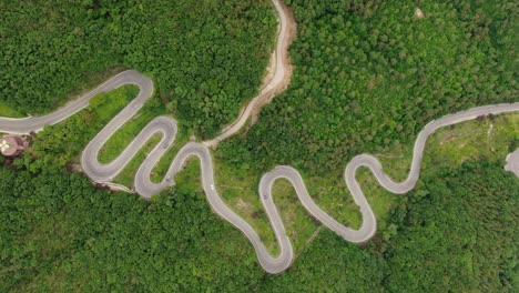 Un-Camino-Curvo-Como-El-órgano-Interno-De-Un-Animal