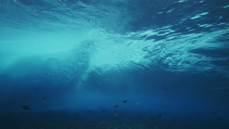 Vista-Trasera-De-Las-Olas-Del-Océano-Creando-Un-Fuerte-Vórtice-Con-Peces-Tropicales-Nadando-Sobre-El-Arrecife