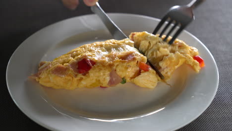 omelet on plate for breakfast