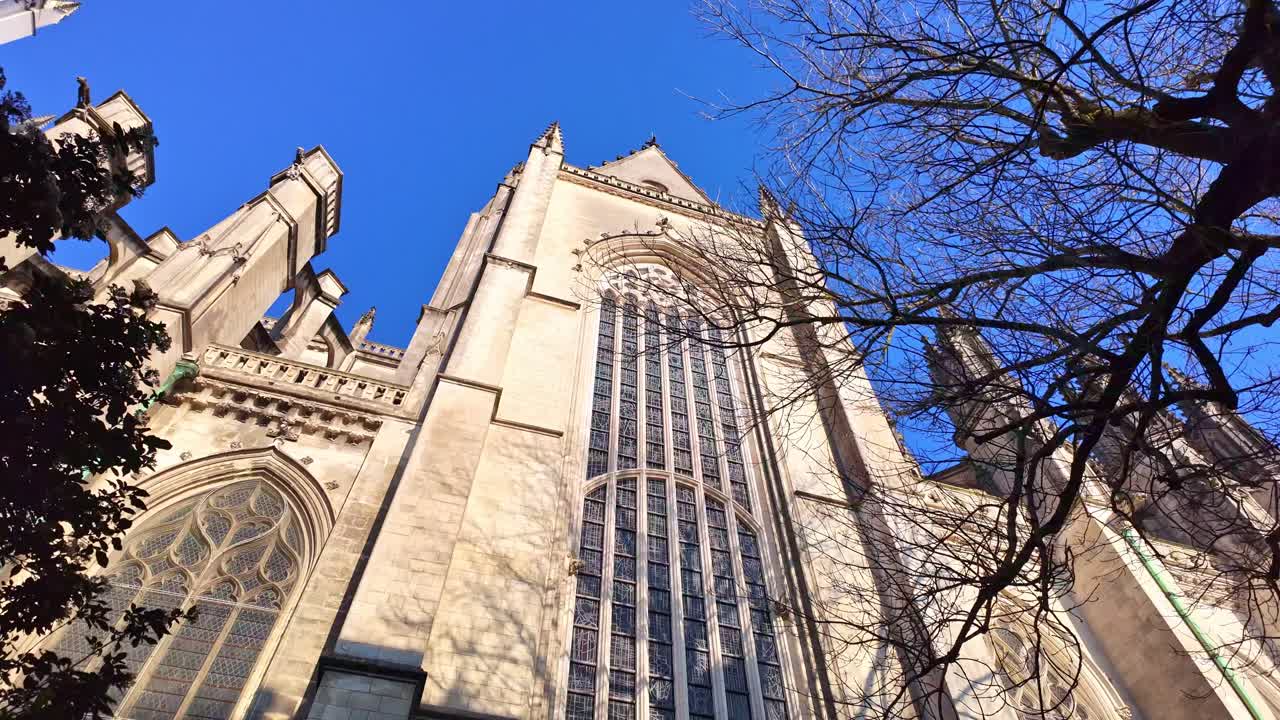 Inquadratura dal basso della facciata gotica della Cattedrale dei Santi Pietro e Paolo con rami d'albero spogli sullo sfondo di un cielo azzurro limpido a Nantes, Francia.