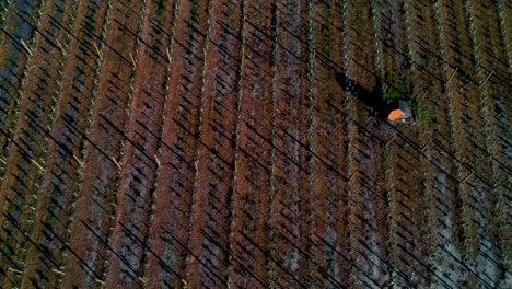 footage of an orchard farm