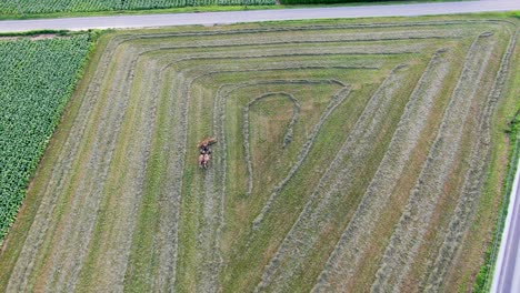 high aerial top down drone shot of amish farmer raking alfalfa hay field in lancaster county, pa