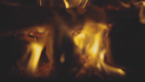 close up macro shot of logs burning in a fire pit