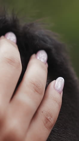 lady hand touches gently short hair of beloved boyfriend on blurred background closeup slow motion. young couple at romantic date. love and affection