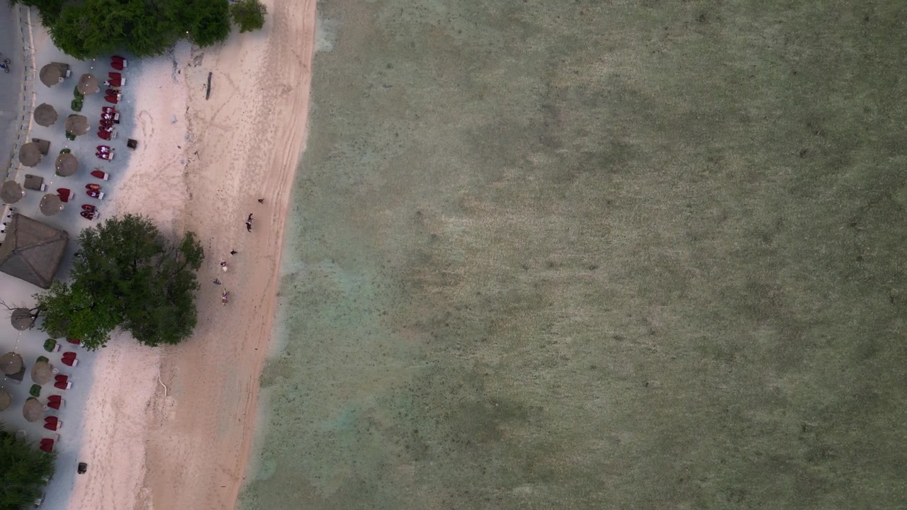 Persone a cavallo lungo la costa sabbiosa in acque tropicali limpide, che si godono il tempo libero e il relax. Splendida vista aerea verticale da drone