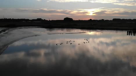 Gänse-Schwimmen-Bei-Sonnenuntergang-Davon