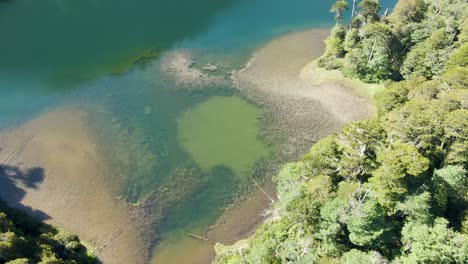 disparo de grúa en el lago chico en el parque nacional huerquehue en un día soleado - disparo de drones