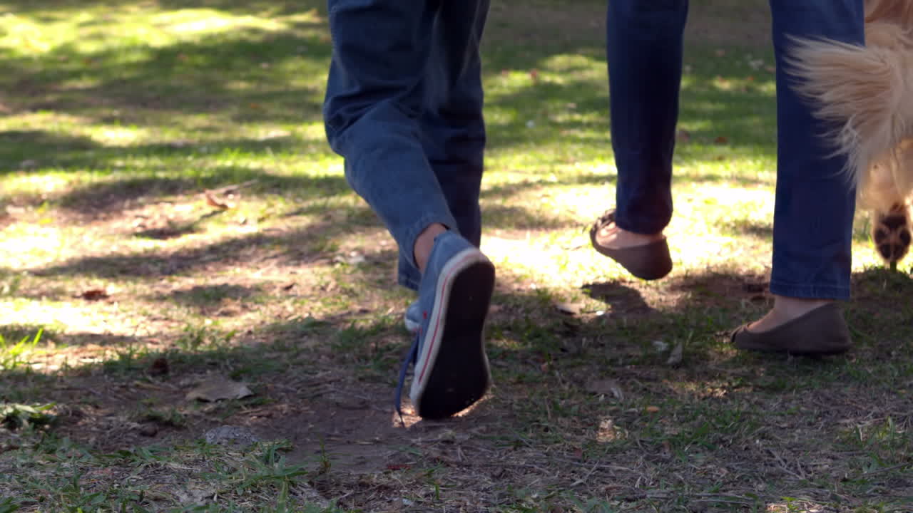 familia feliz en el parque con su perro