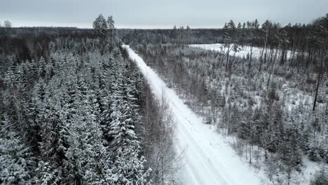 Abgelegene-Straße-Durch-Einen-Gefrorenen,-Verschneiten-Wald---Luftüberflug