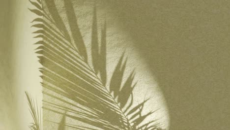 Golden-yellow-textured-wall-with-palm-frond-shadow-waving-in-wind-on-back-vertical