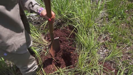 a farmer digging diligently in a green, grassy field, preparing for the upcoming harvest