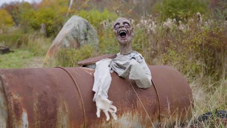 a scary funny halloween decoration of a zombie skeleton climbing out of an old piece of farm equipment at a pumpkin patch in the country