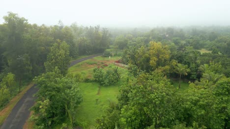 beautiful-road-morning-middle-of-green-trees-drone-view