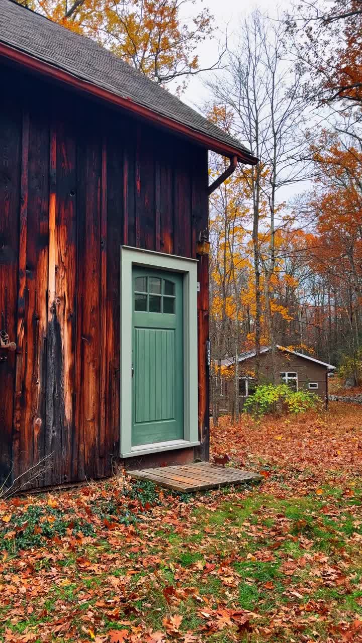 Fienile in legno con porta verde in una foresta autunnale. Scatto verticale di un fienile in legno scuro e invecchiato con una porta verde circondato da foglie autunnali.